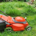 GreenCarp™ Electric Rotary Lawn Mower photo review