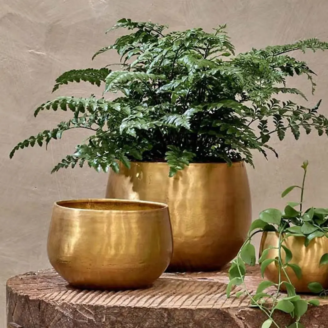 Handcrafted brass planters