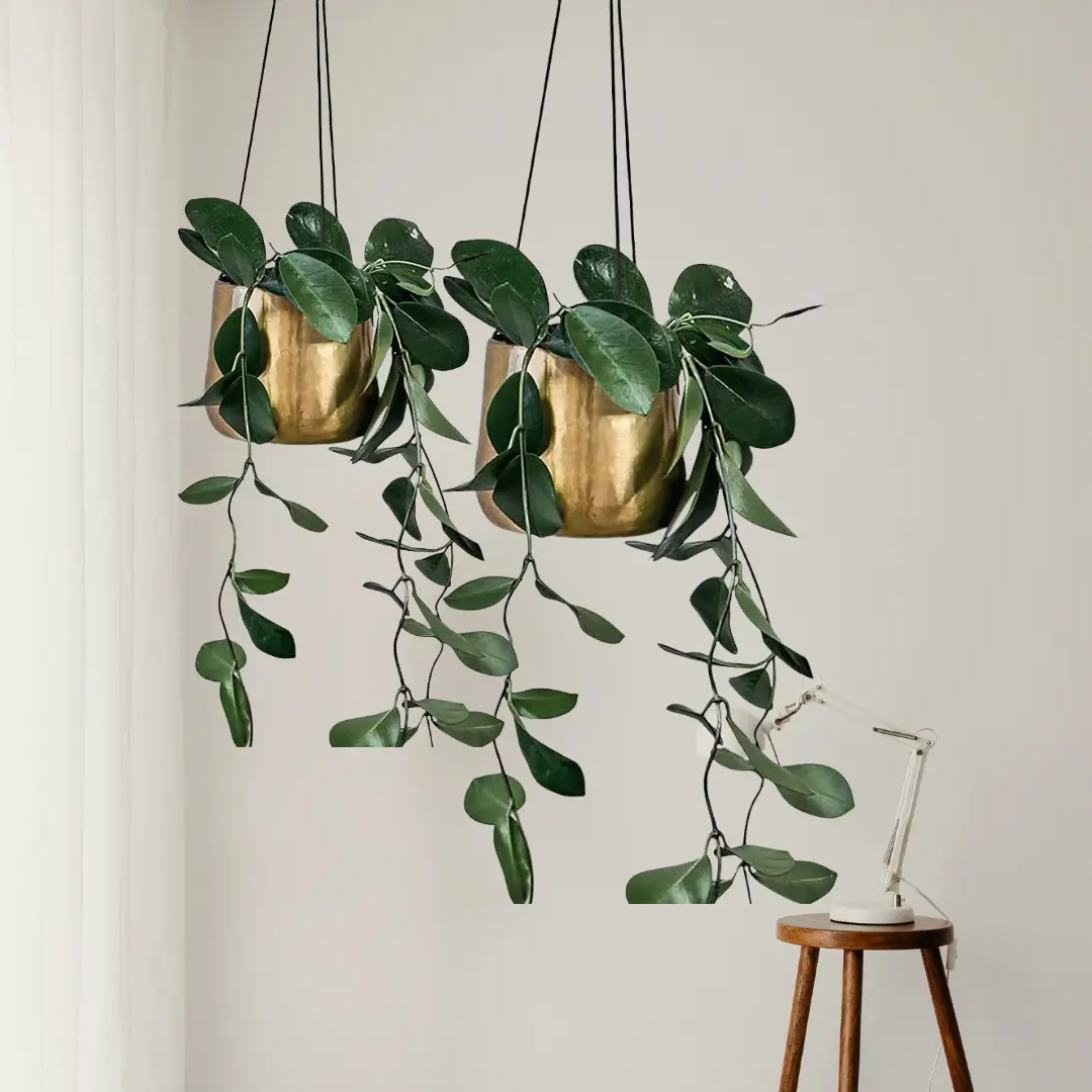 Brass hanging planter with leather cord