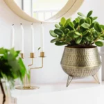 Vintage Hammered Brass Planting Pots with Tripod Stand